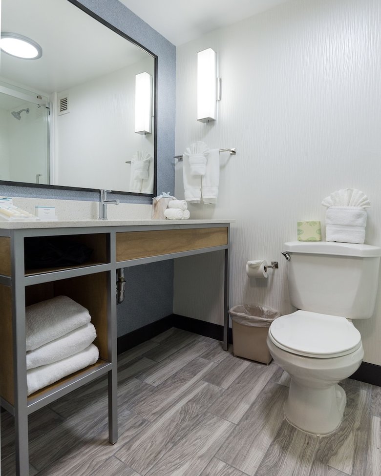 Hotel Hilton Garden Inn Atlanta Northpoint