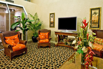 Hotel Holiday Inn Express Tampa/brandon