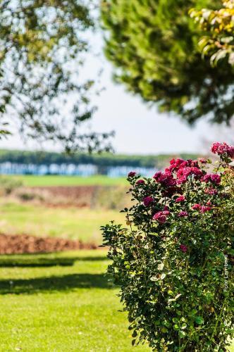 Agroturismo Podere Del Gesso