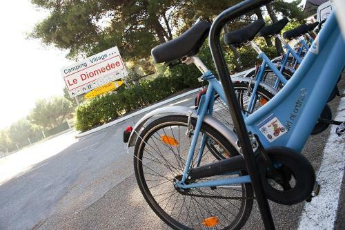 Hotel Villaggio Turistico Le Diomedee