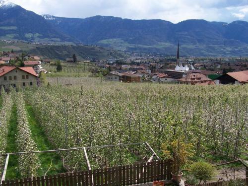 Aparthotel Garni & Residence Sonngart