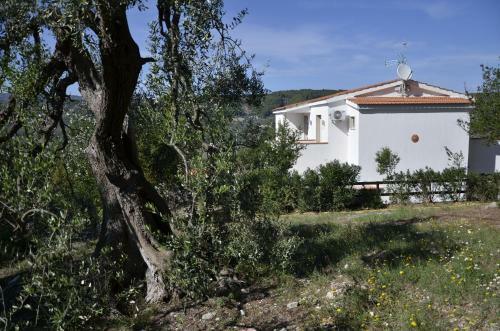Bed & Breakfast Residenza White House