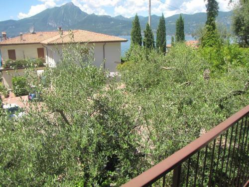 B&B Hotel Delle Rose