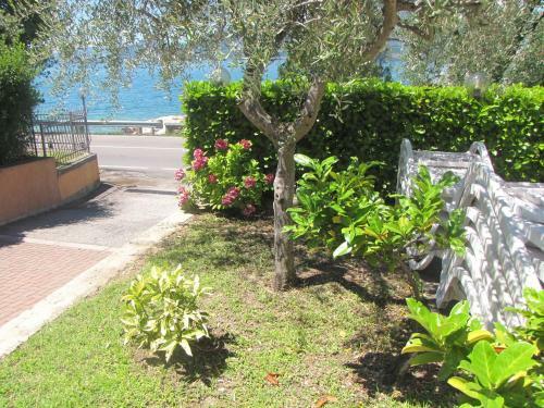 B&B Hotel Delle Rose