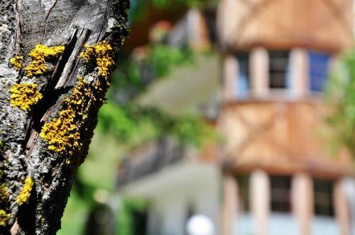 Apartamento Pension Rungg