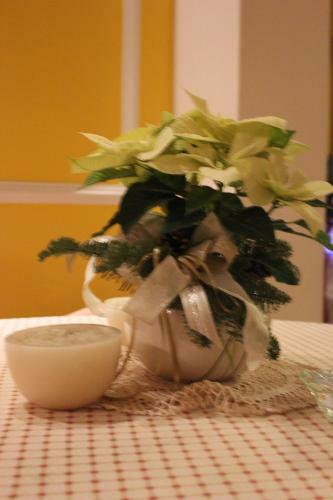 Hotel Albergo Alassio