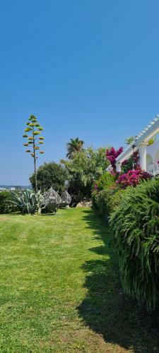 Hotel Albatros
