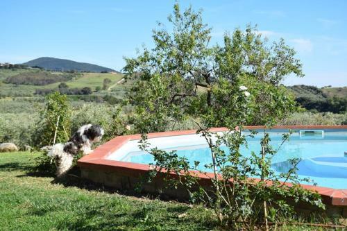 Agroturismo Agriturismo Ss Annunziata