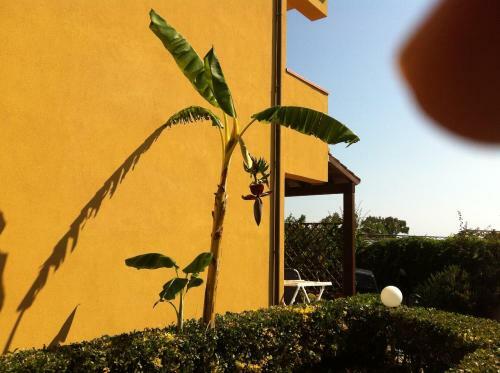 Apartamento Gli Appartamenti Degli Dei