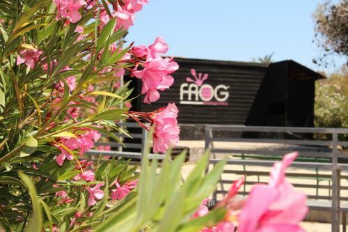 Villaggio Turistico Scialmarino