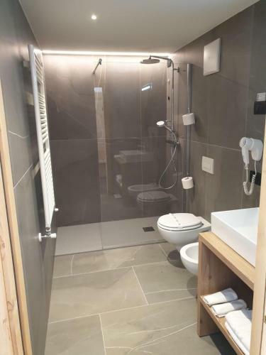 Alpen Hotel Vidi