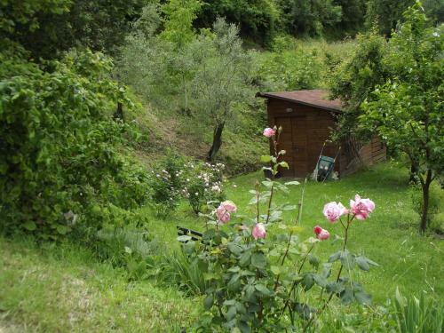 Apartamento Agriturismo Brasino