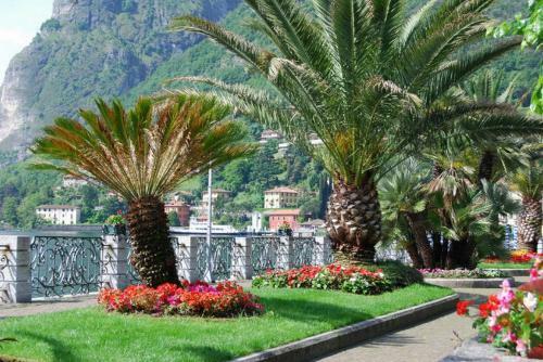 Sant' Andrea Apartments