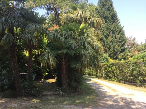 Apartamento Appartamenti Edvina