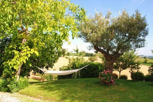 Agroturismo Agriturismo L'antico Oliveto