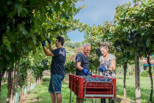 Agroturismo Al Colle