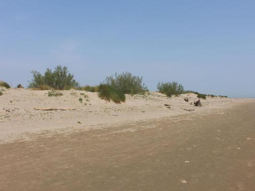 Apartamento Casa Pineta