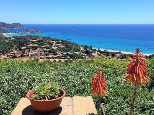 Casa Vacanze Mari Pintau