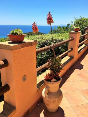 Casa Vacanze Mari Pintau