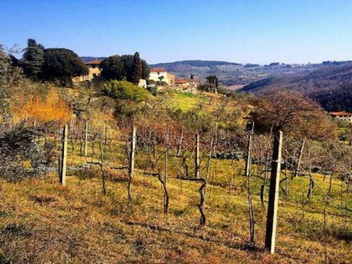 Agroturismo Agriturismo Villa Dauphin�