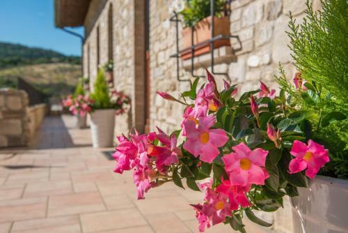Agroturismo Antica Fonte