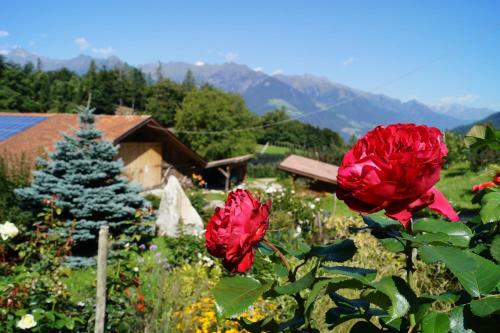 Apartamento Appartements Grumserhof