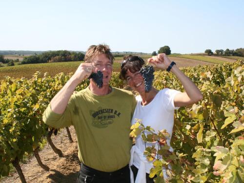 Le Duras En Le Sauvignon
