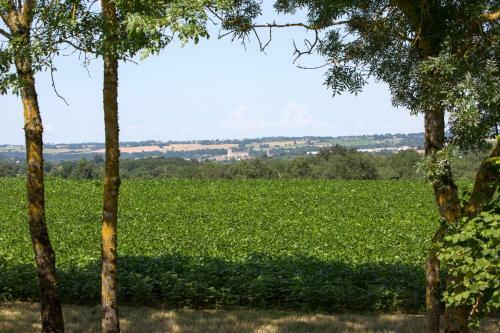 Appartements Climatis�s Les Hauts De Condom