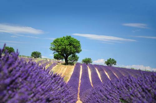 Hotel Bel Alp Manosque