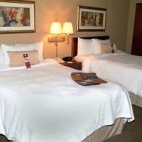 Hotel Hampton Inn & Suites Tampa North
