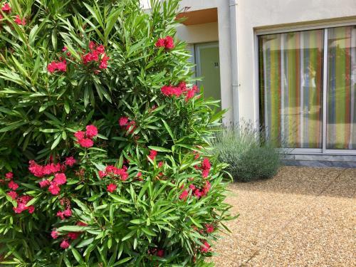 Amerique Hotel Palavas Montpellier Sud