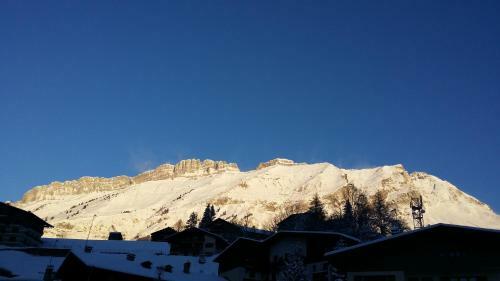 Hotel H�tel Flor'alpes