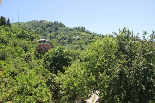 Hostal 15 Kviparosi Guest House