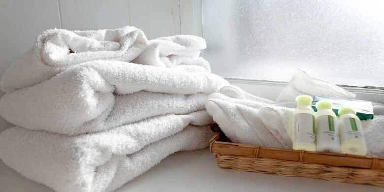 Hotel H�tel Jardin Ste Anne