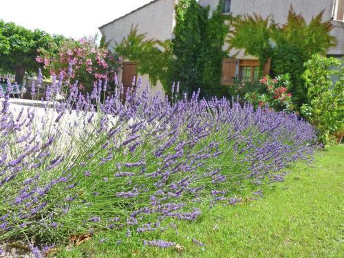 Holiday Home Les Platanes