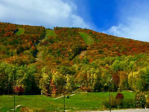 Aparthotel Condos H�tel Val-des-neiges - Le C�leste