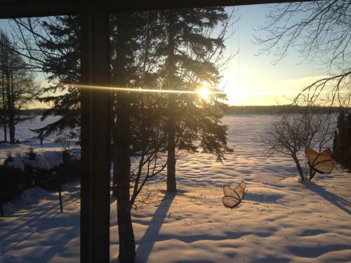 Hostal Gite Du Lac � La Tortue
