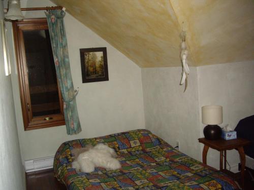 Bed & Breakfast Le Canard M�deau