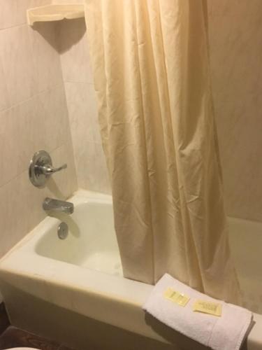 Motel Valuelodge Busch Gardens - Tampa