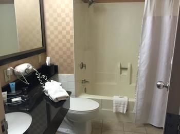 Hotel Crowne Plaza Downtown