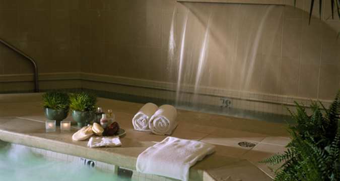 Hotel Ritz-carlton Lake Las Vegas