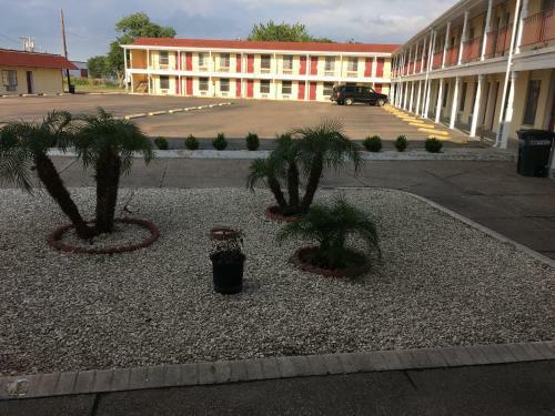 Alice Motor Inn