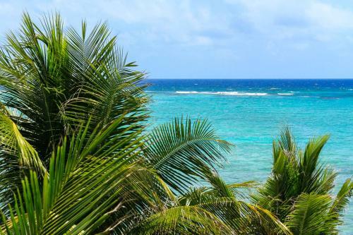 Hotel Cielo Maya Beach Tulum