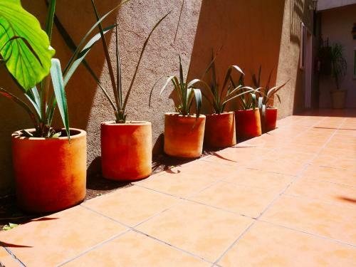 Bed & Breakfast La Casa De Las Conservas Gold
