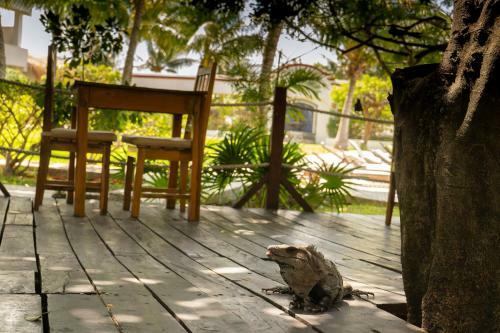 Marina Paraiso Hotel