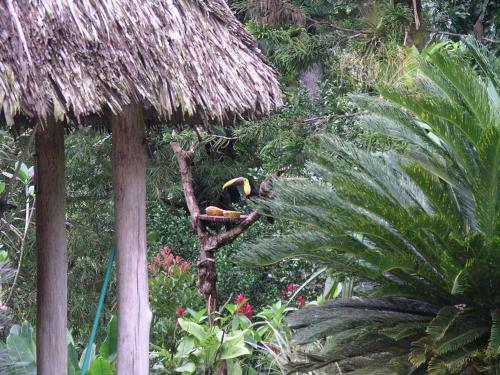Albergue La Purruja Lodge