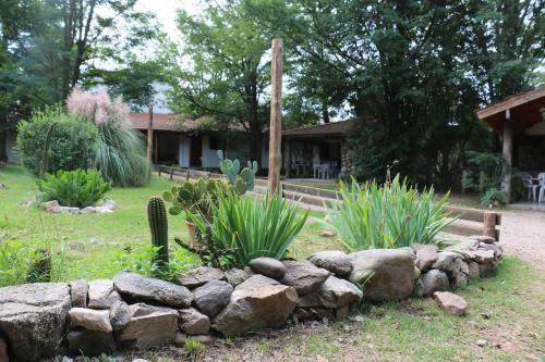 Lodge Tacuifi I