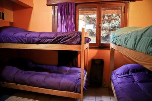 The House Hostel, Resto & Bar Bariloche