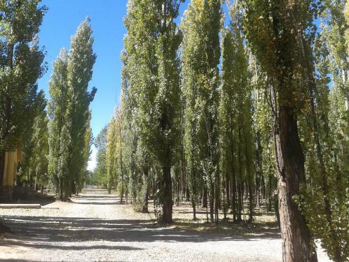 Bosque De Sol