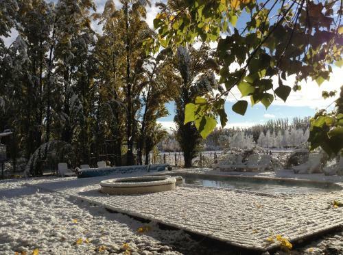 Bosque De Sol